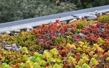 the cost of Leigh Woods green roof installation