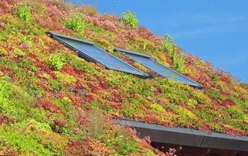Leigh Woods living roof systems